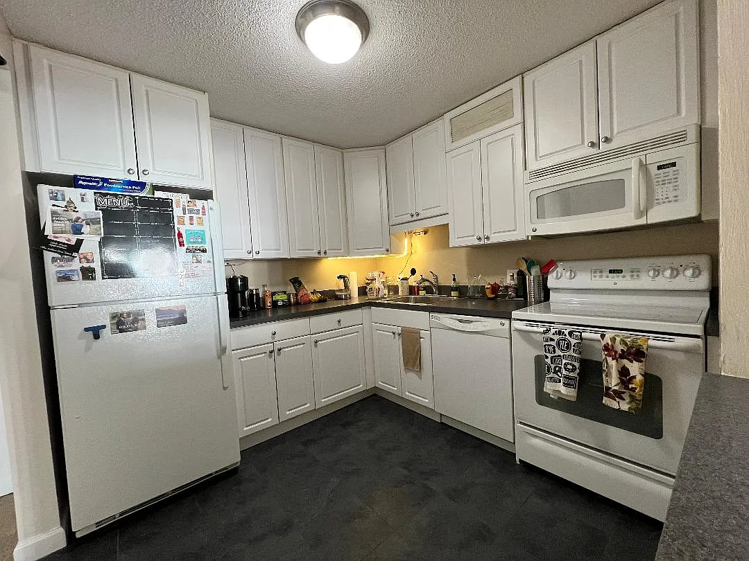 1 bed, 995 sqft, $2,450 — Photo 2