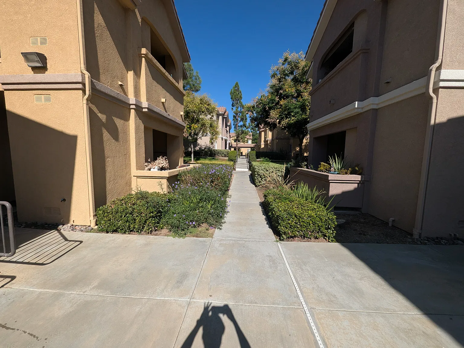 2 bed, 1159 sqft, $2,200 — Photo 2