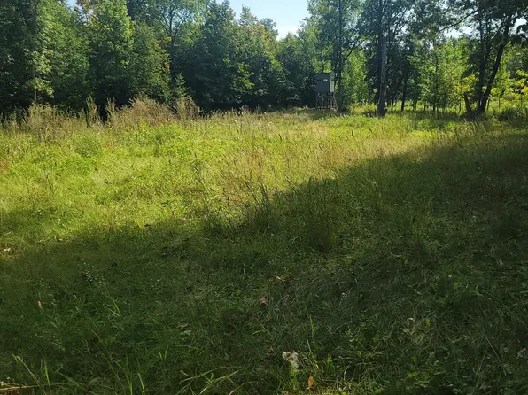 Jeff Lake Rd, Richville, MN 56576