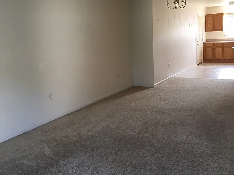37 Christine Dr — Photo 7