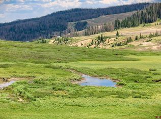 LOT 2 Forest Service Rd #330, South Fork, CO 81154