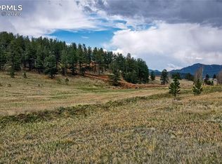 188 High Pasture Rd, Florissant, CO 80816