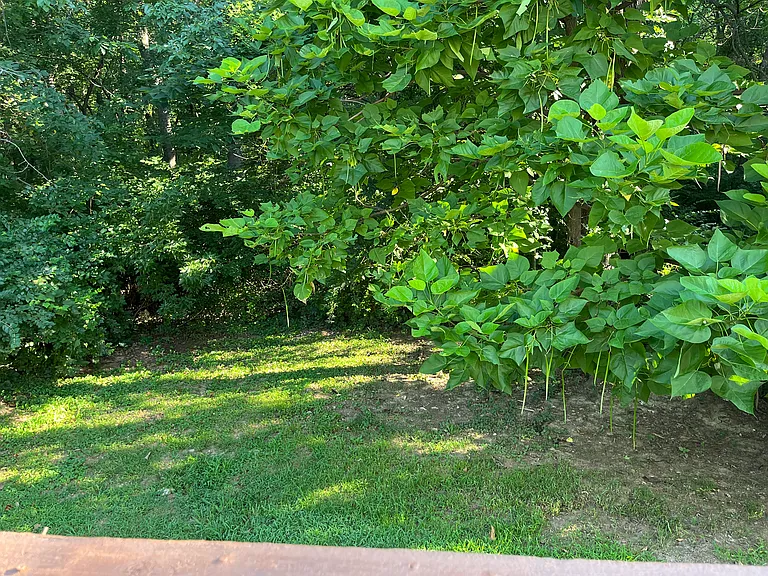3507 SW McDanial Ave — Photo 15