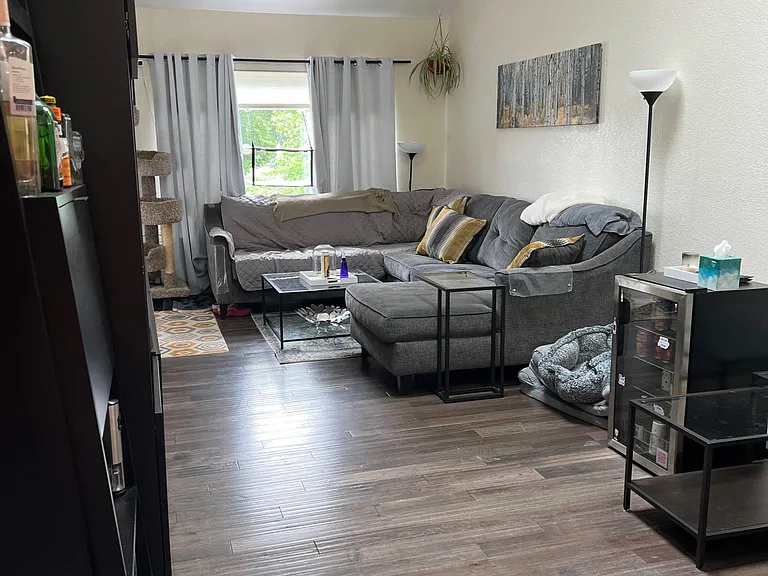 View from kitchen with current tenants' set up. Living room. Dining area on right (not pictured)