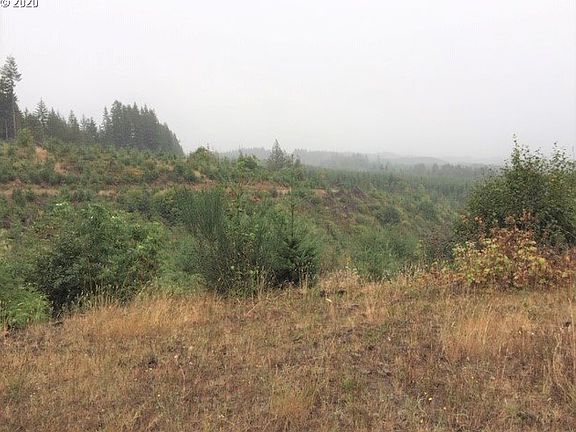 3rd image of NW Ridge Rd