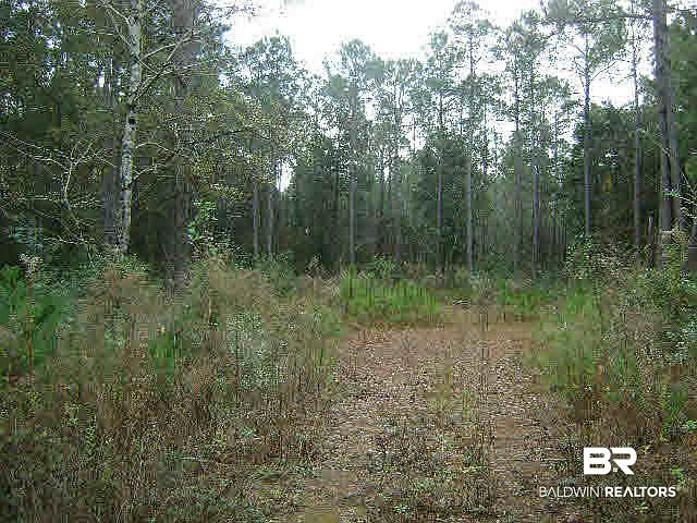 1st image of 6972 Scenic Highway 98