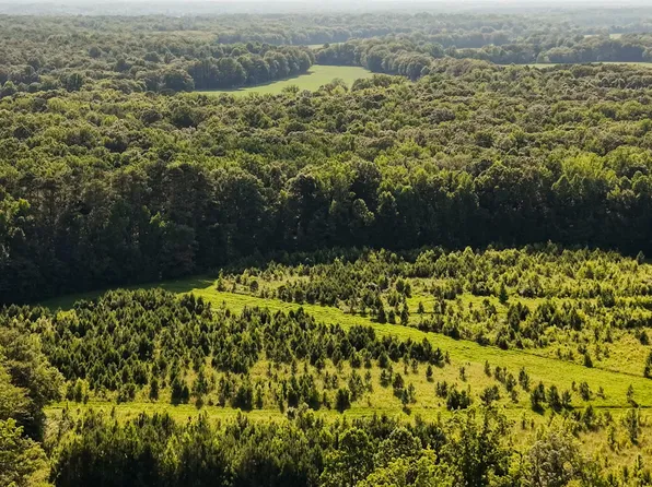 Deer Hill Rd, Nettleton, MS 38858