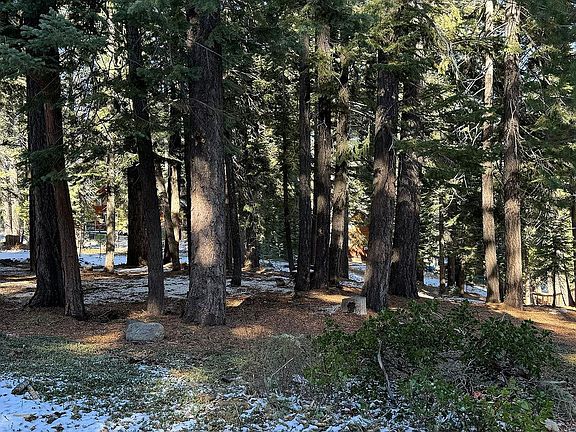 3rd image of 10648 Laurelwood Dr