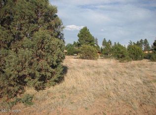 2743 Pine Meadow Dr, Overgaard, AZ 85933