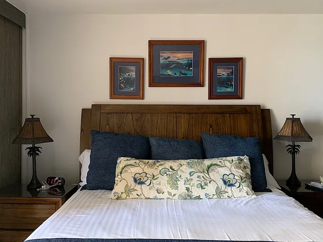 4365 Lower Honoapiilani Rd #203 — Photo 13