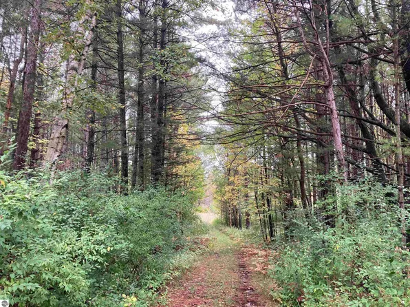 3787 Kelly Rd, Lupton, MI 48635