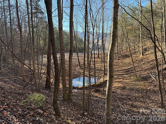 2nd image of 9999 Plum Tree Holler Dr