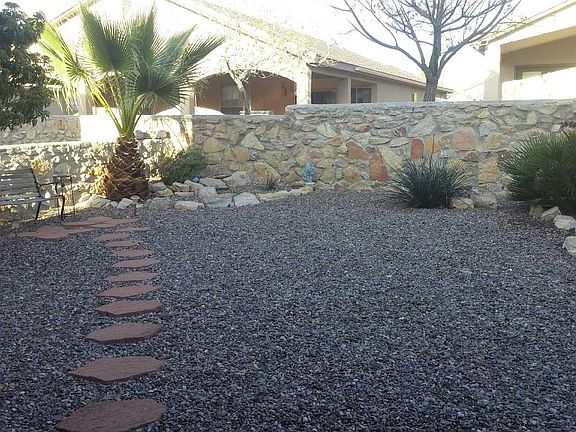 Shared backyard
