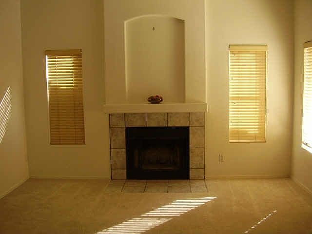Fireplace in Family Room