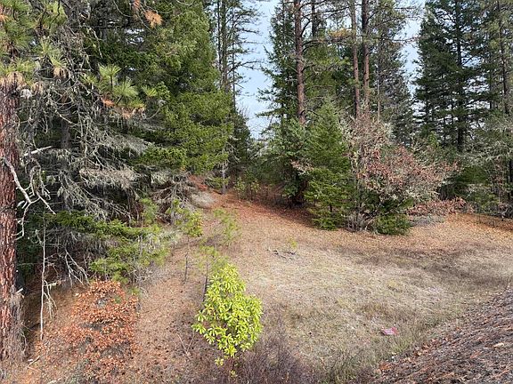 4th image of 0 E Evans Creek Rd #10149531