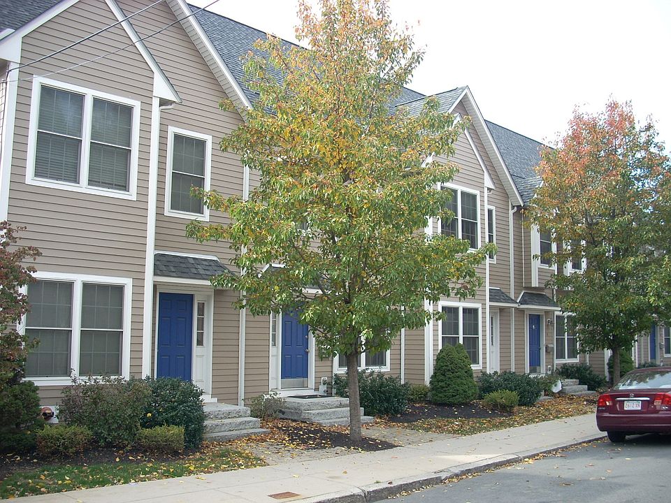 Quiet, Tree-Lined Street
