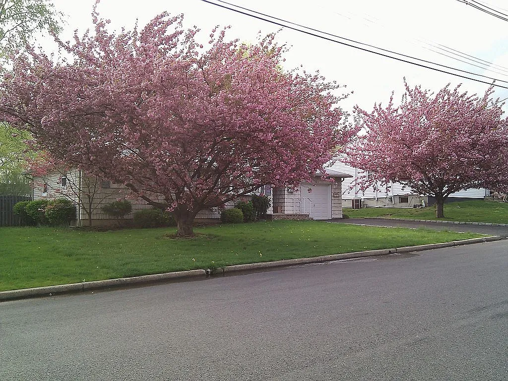 701 Barron Ave photo 1