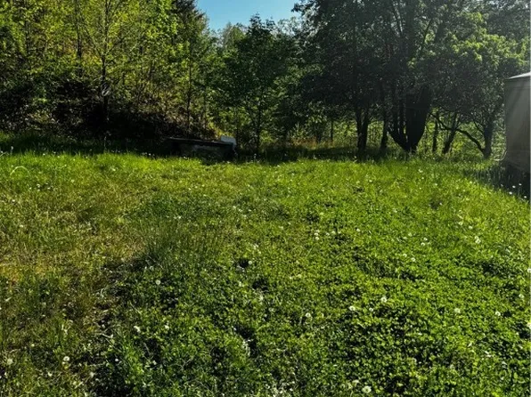 38 Osborne Dr, Danville, WV 25053