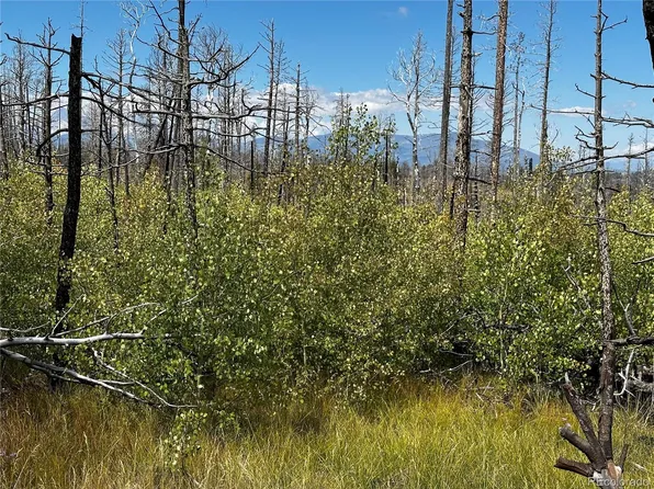 1175-1176 Macomber Lane LOT 1175-1176, Fort Garland, CO 81133