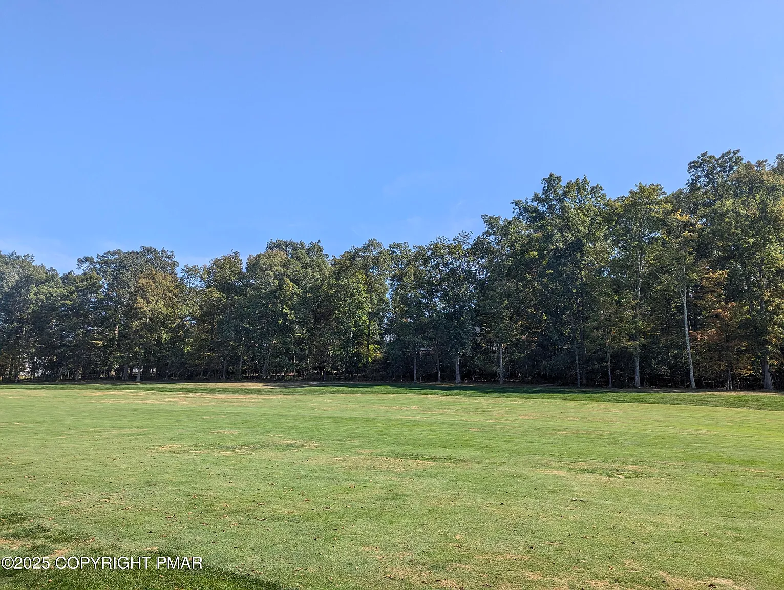 24 Swan Ct photo 1
