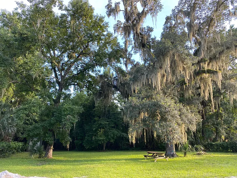 Backyard - has large shaded oak tree & fire pit
