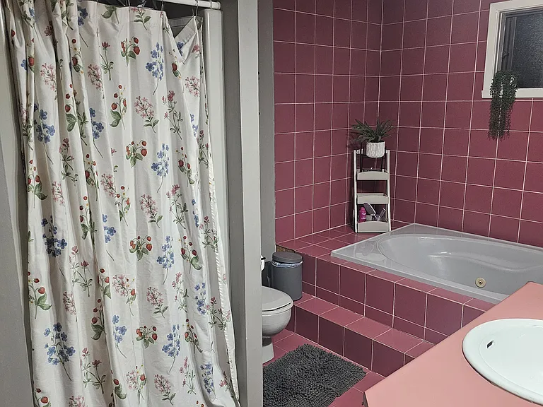 Stand Up shower and jetted sunken tub