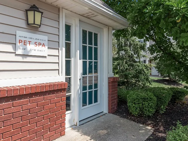 Pet Spa