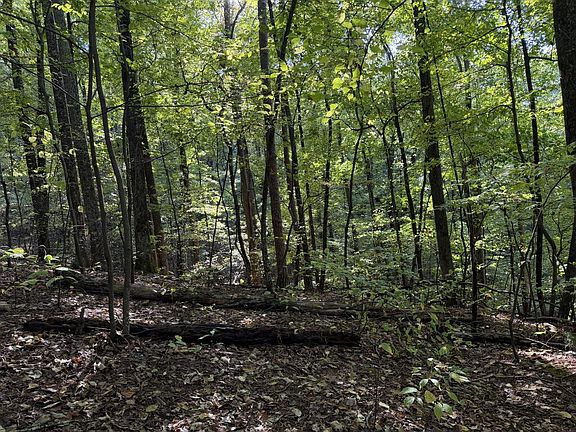 3rd image of J349 Mountain View Ct