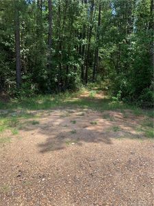 State Highway 111, Merryville, LA, 70653