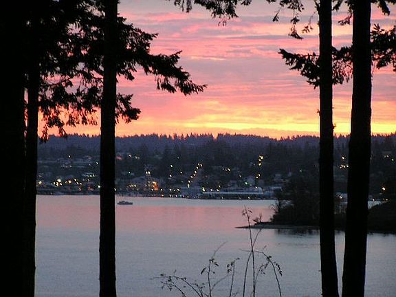 View from front yard