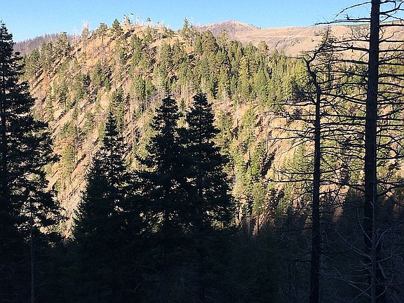 Typical landscape