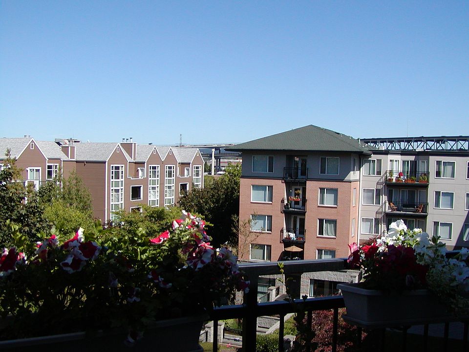 NE View