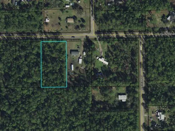 4253 Fruitwood Ave, Bunnell, FL 32110