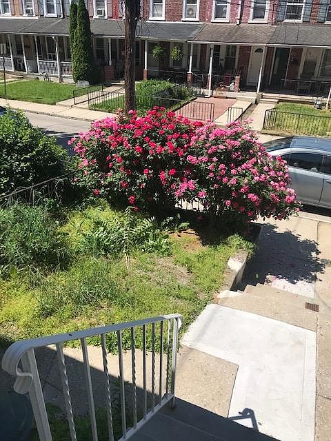 front yard