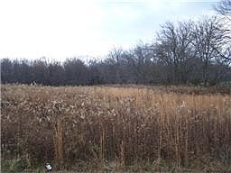 1st image of 4603 Jim Cummings Hwy