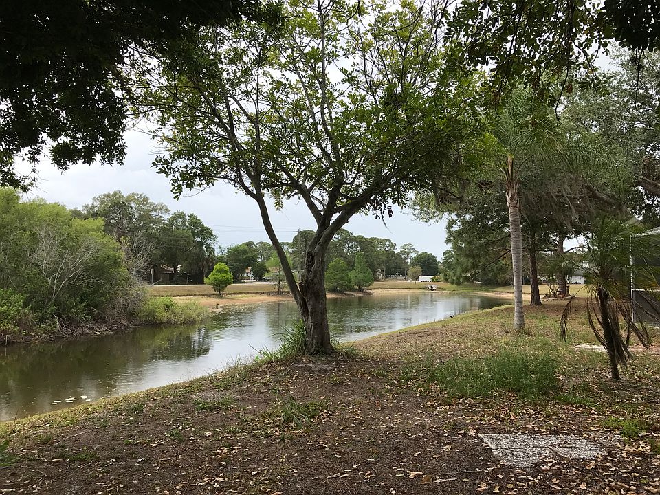 Backyard view