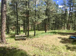 25246 Hylle Ln, Custer, SD 57730