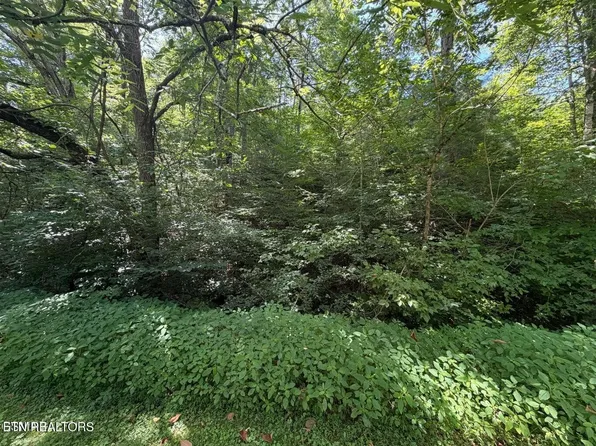 12 Smoky Mountain Way, Sevierville, TN 37876
