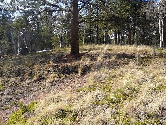 2nd image of 26 Blue Spruce Rd