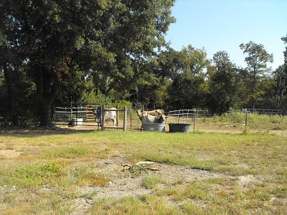 3rd image of 14269 NE County Road 3170a
