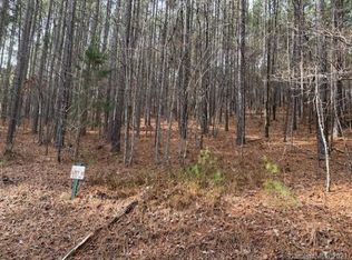 0 Chasewood Dr, Rutherfordton, NC 28139