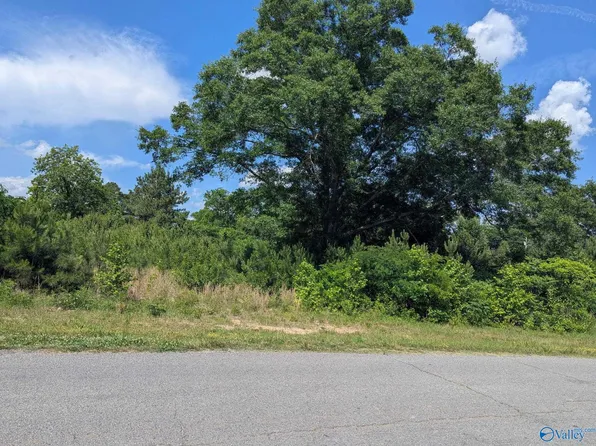 Mount Vernon Rd, Boaz, AL 35957