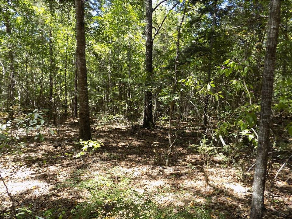 2nd image of 3 Macon County Rd #24