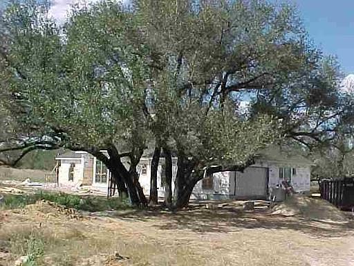 2nd image of LOT 7 US HWY 181 S
