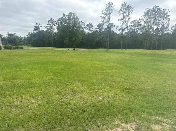 30684 Blue Wing Cres, Springfield, LA 70462
