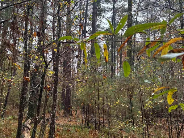 Joan, Camden, AR 71701