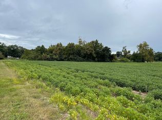 167 Boseman Ln, Dudley, NC 28333