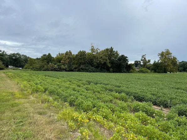 167 Boseman Ln, Dudley, NC 28333