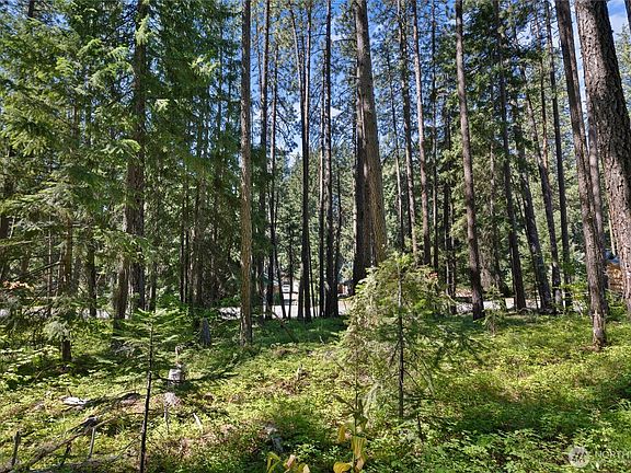 4th image of 0 Lot 10 S Lake Cabins Road