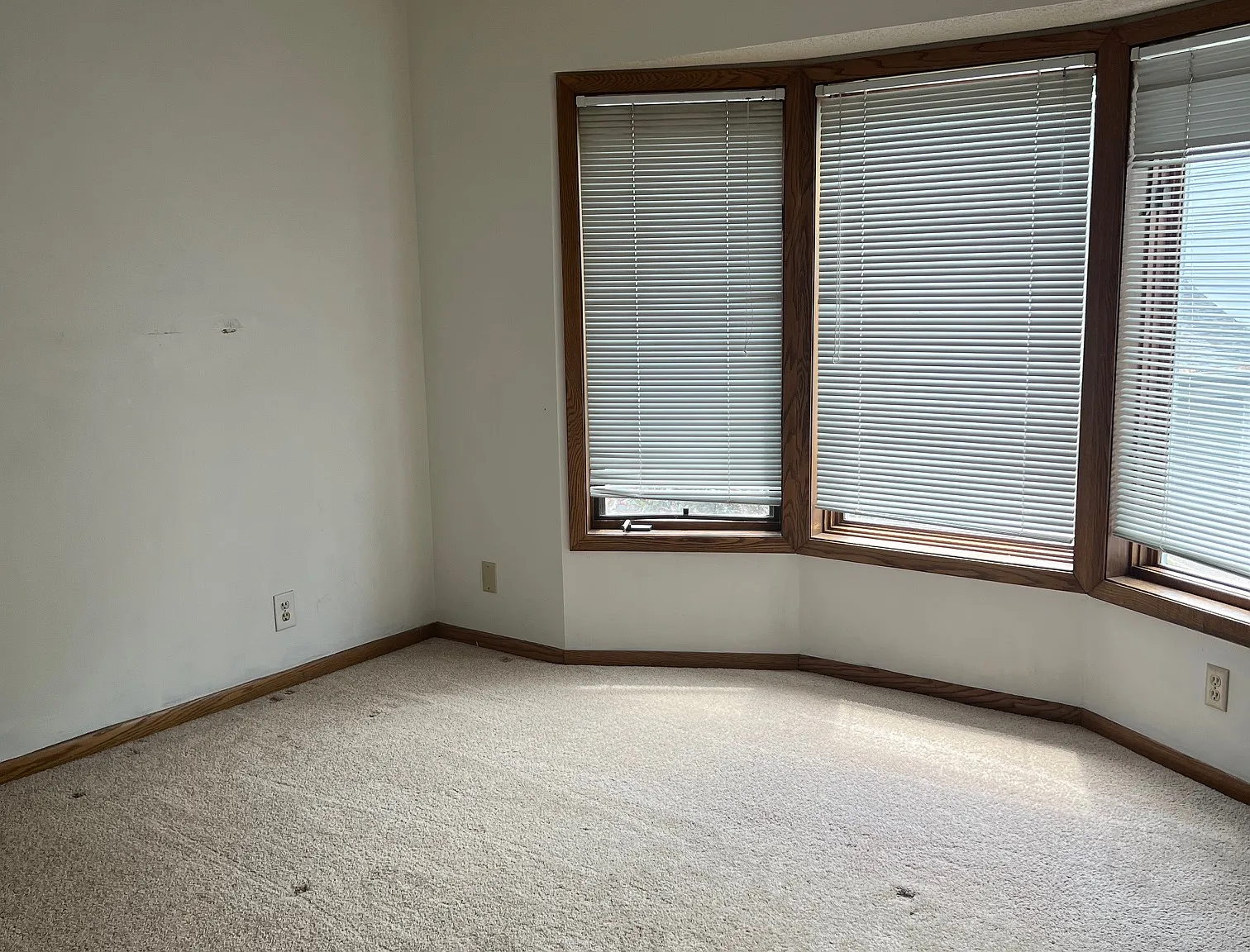 2 bed, 1096 sqft, $1,800 — Photo 3